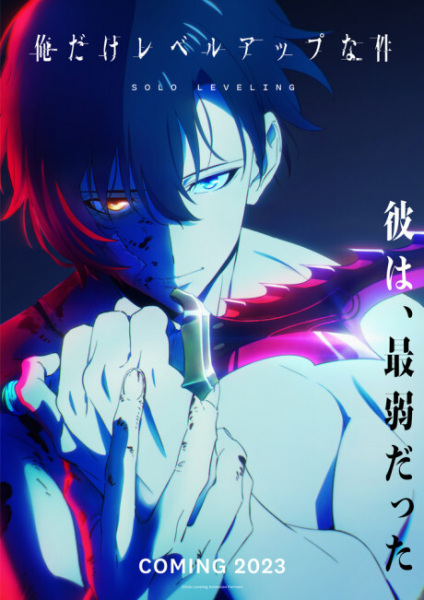 تسطیح انفرادی - تصویر 2