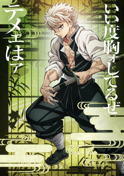 Demon Slayer: Kimetsu no Yaiba Hashira Training Arc - تصویر 4