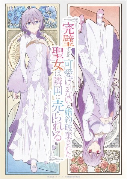 قدیس بیش از حد کامل: نامزد من آن را کنار زد و به پادشاهی دیگر فروخت - تصویر 2