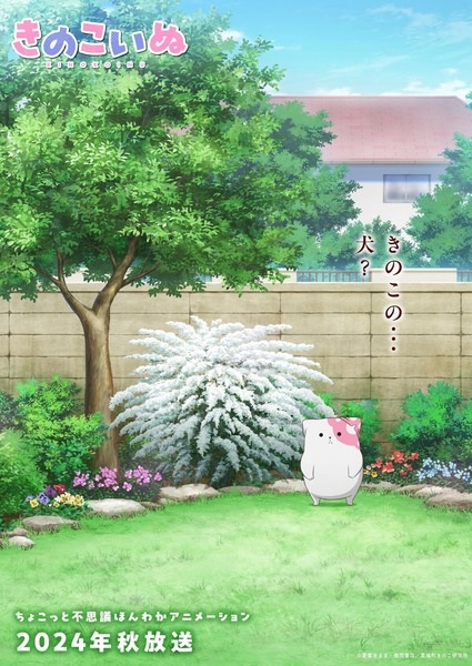 توله قارچ کینوکوینو - تصویر 3