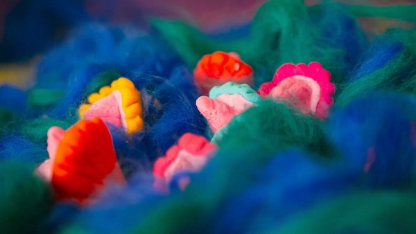 شب کامل - تصویر 2