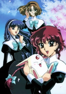 رایرث - تصویر 2