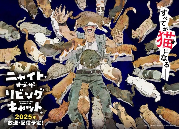 نایت گربه زنده - تصویر 3