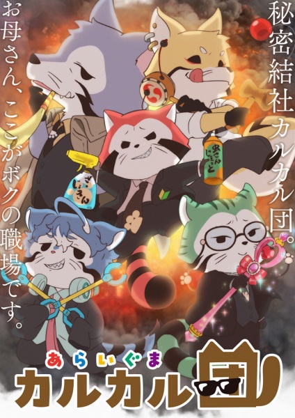 آرایگوما کالکال دان - تصویر 4