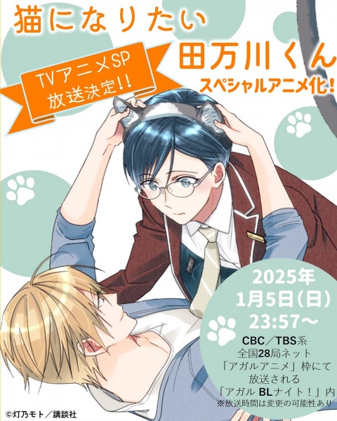 تاماگاوا می خواهد یک گربه باشد - تصویر 2